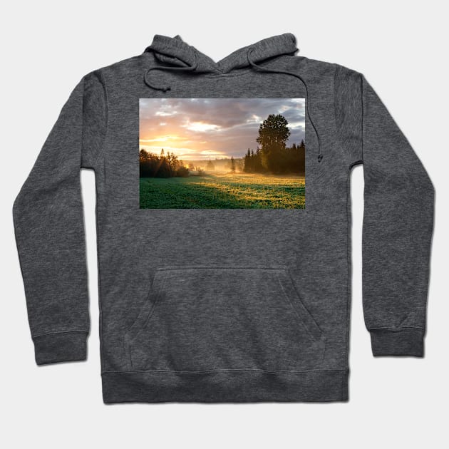 Foggy grassland and trees at sunrise Hoodie by Juhku